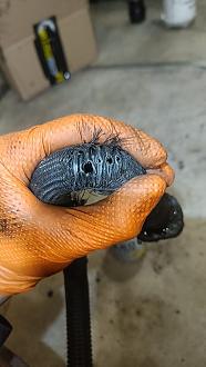 Click image for larger version  Name:	1.jpg Views:	6 Size:	131.4 KB ID:	5538516