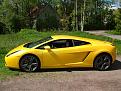 Click image for larger version

Name:	2009_0526lambo9.jpg
Views:	625
Size:	152.3 KB
ID:	4818295