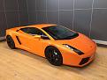 gallardo1