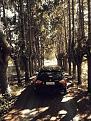 IMG 20170729 161806 copy