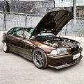 Marrakesh Brown