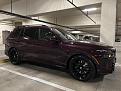 IMG 5175